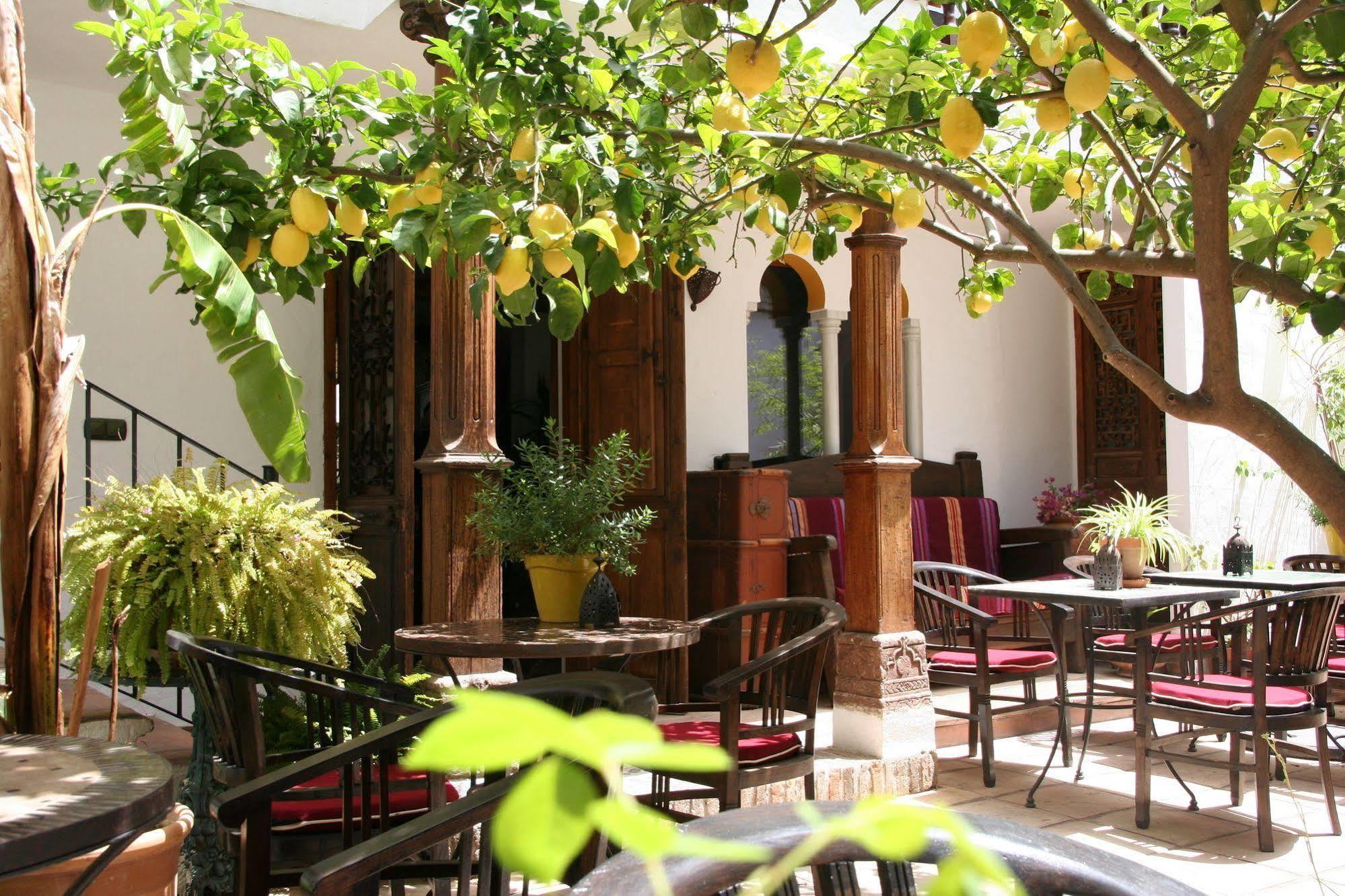 Boutique Hotel La Posada Del Angel Ojen Exterior photo